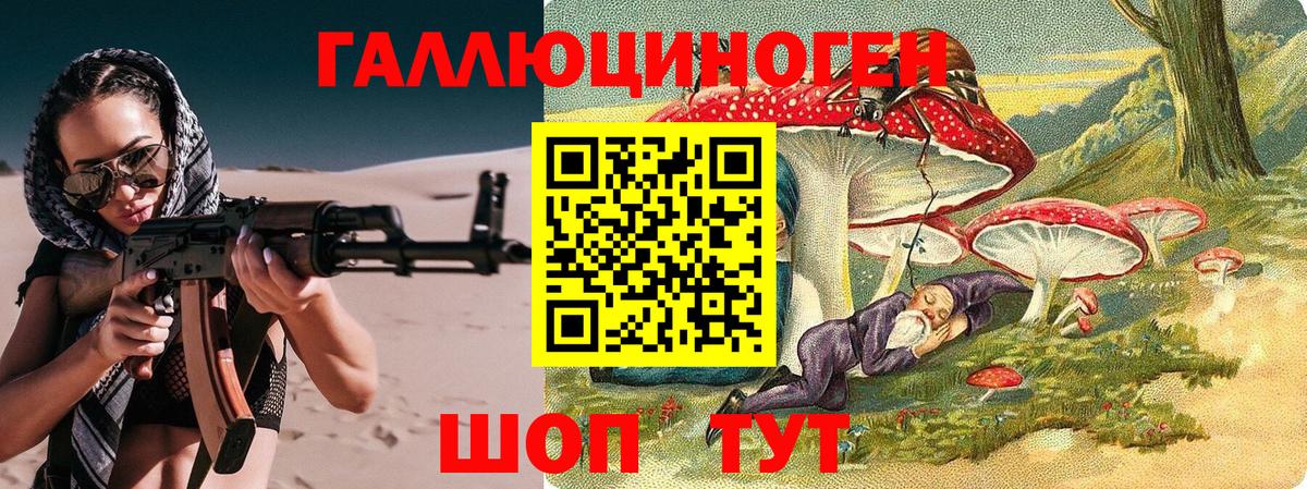 Сальск  Псилоцибиновые грибы Psilocybine cubensis  Вход с VPN 